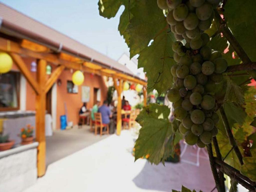 Hotel Privat Bohemia Šatov Esterno foto
